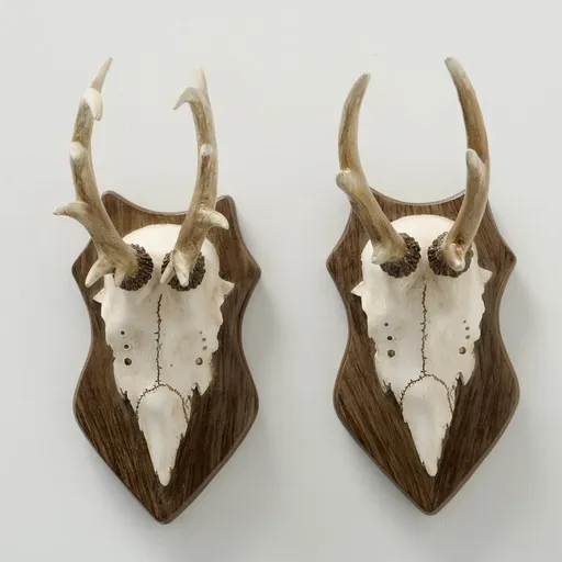 Boltze Dekorace paroží Carson, malé