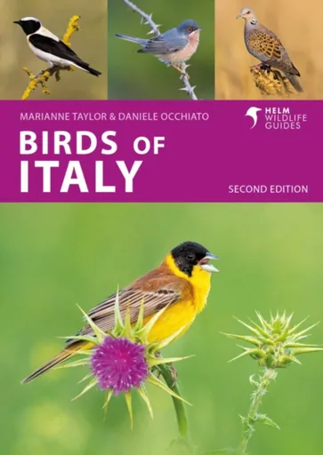Birds of Italy - Taylor Marianne, Daniele Occhiato