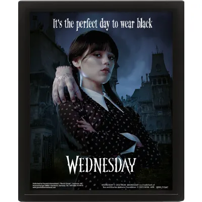 3D Obraz Wednesday