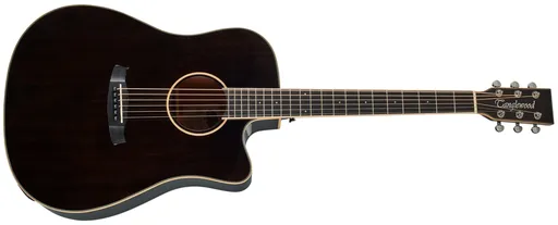 Tanglewood TW5 CE BS (rozbalené)