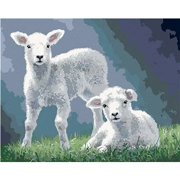 Zuty - Malování podle čísel - JEHNĚ V TRÁVĚ (ABRAHAM HUNTER), 80x100 cm, vypnuté plátno na rám (HRAmmb06031nad)