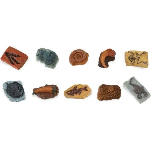 Safari Ltd Tuba - Fosílie