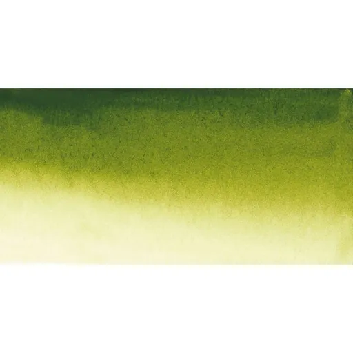 Akvarelová barva Sennelier 1/2 – 813 Olive Green