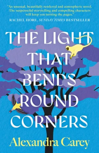 The Light That Bends Round Corners - Alexandra Carey