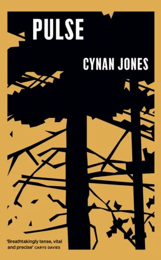 Pulse - Cynan Jones