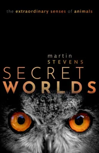 Secret Worlds - Martin  Stevens