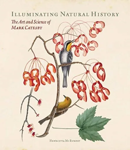 Illuminating Natural History - Henrietta McBurney