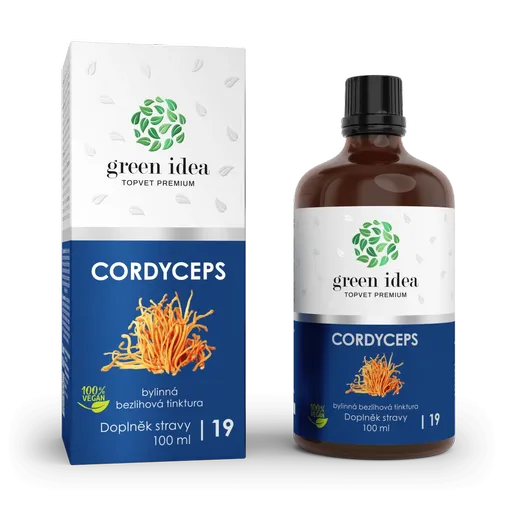Cordyceps - bezlihová tinktura 100 ml - Green idea