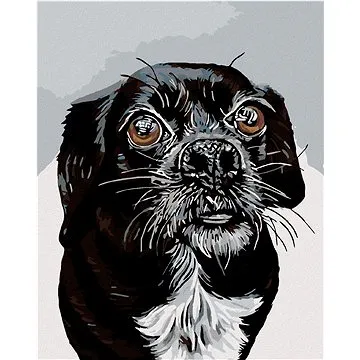 Diamondi - Diamantové malování - ČERNOBÍLÝ OŘÍŠEK, 40x50 cm, Vypnuté plátno na rám (602162B)