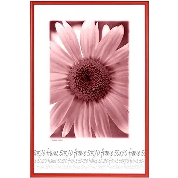 TRADAG Fotorámeček 50 × 70 cm, červený (3850_7008)