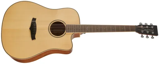 Tanglewood TP5 SE