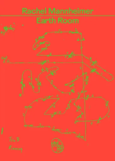 Earth Room - Rachel Mannheimer