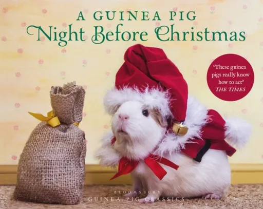 A Guinea Pig Night Before Christmas - Clement Clarke Moore, Tess Newall
