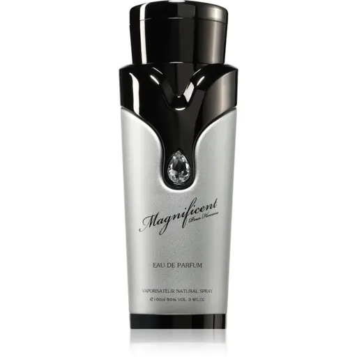Armaf Magnificent Pour Homme parfémovaná voda pro muže 100 ml
