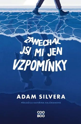Zanechal jsi mi jen vzpomínky - Adam Silvera