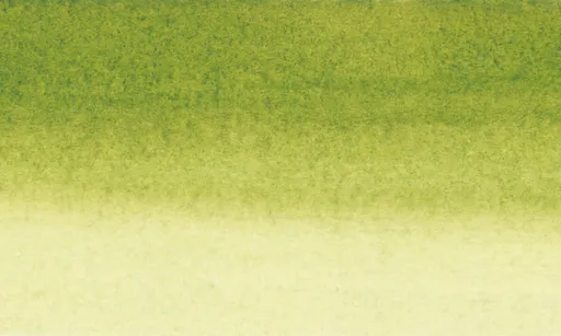 Šelaková tuš Sennelier 30ml – 813 Olive Green