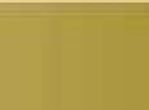 Pastel Caran d'Ache Neocolor I 249 Olive