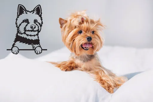 Vsepropejska Jorkšír dřevěná dekorace na zeď Rozměr (cm): 35 x 28, Typ: Jorkšír 3