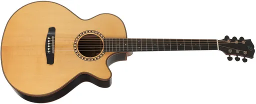 Dowina Danubius GACE-S StagePro