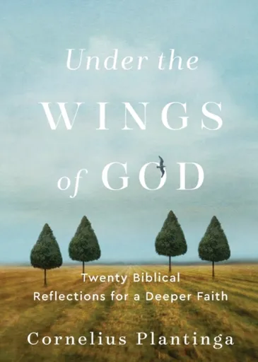 Under the Wings of God â€“ Twenty Biblical Reflections for a Deeper Faith - Cornelius Plantinga