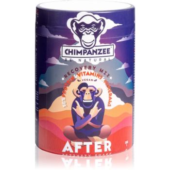 Chimpanzee Recovery Mix prášek na přípravu nápoje s proteinem příchuť Cocoa & Maple Syrup 350 g