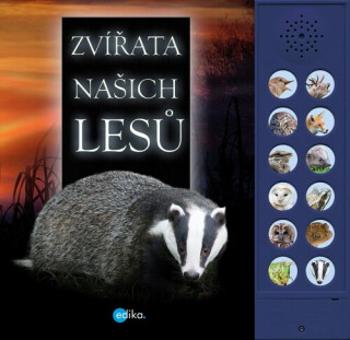 Zvířata našich lesů - Andrea Pinningtonová