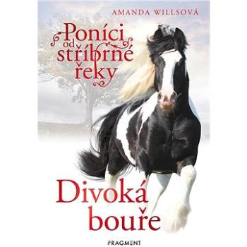 Poníci od stříbrné řeky – Divoká bouře (978-80-253-4965-6)