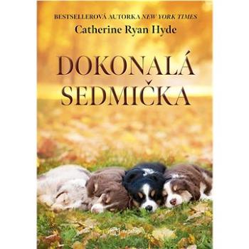 Dokonalá sedmička (978-80-8090-354-1)