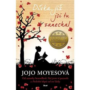 Dívka, již jsi tu zanechal (978-80-249-4238-4)