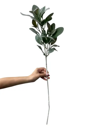 FLORISTA Jmelí 70 cm