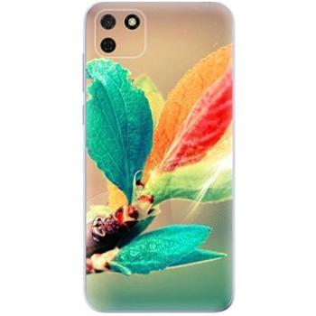 iSaprio Autumn pro Huawei Y5p (aut02-TPU3_Y5p)