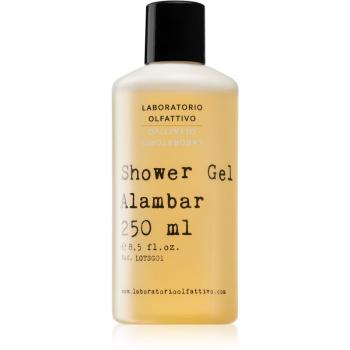 Laboratorio Olfattivo Alambar sprchový gel unisex 250 ml