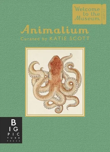 Animalium (Mini Gift Edition) - Jenny Broomová