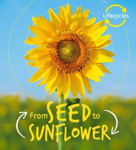 Lifecycles: Seed to Sunflower - Camilla de la Bédoyére
