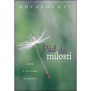 Pád do milosti: Cesta k vnitřnímu probuzení (978-80-7370-278-6)