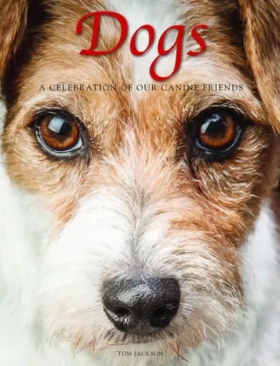 Dogs - Tom Jackson