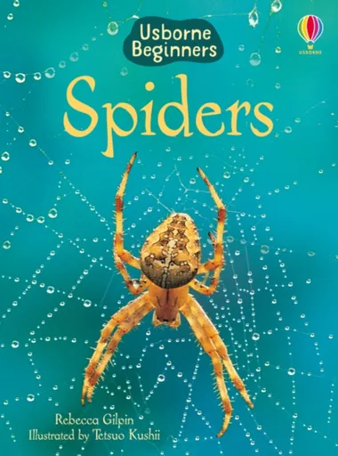 Spiders - Rebecca Gilpin