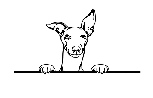 Vsepropejska Chrt dřevěná dekorace na zeď Rozměr (cm): 38 x 29, Typ: Chrt 6