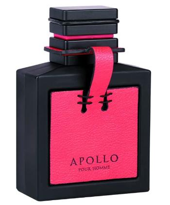 Flavia Apollo Pour Homme - EDP 100 ml