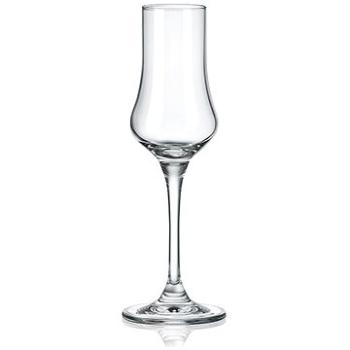 RONA Sklenice na destilát Grappa 100 ml UNIVERSAL 6 ks (6050 100)