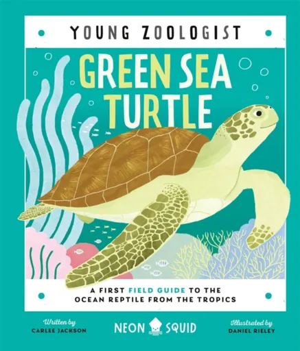 Green Sea Turtle (Young Zoologist) - Carlee Jackson