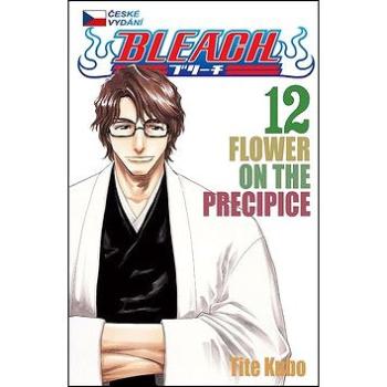 Bleach 12: Flower on the Precipice (978-80-7449-231-0)