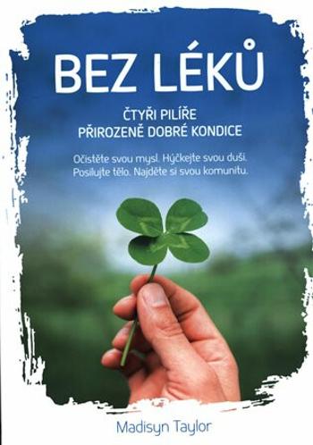 Bez léků - Čtyři pilíře přirozeně dobré kondice - Madisyn Taylor