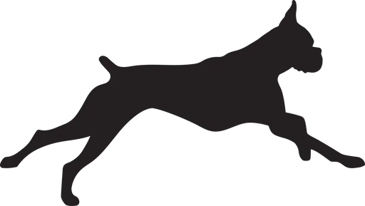 Vsepropejska Boxer 2 dřevěná dekorace na zeď Rozměr (cm): 21 x 38