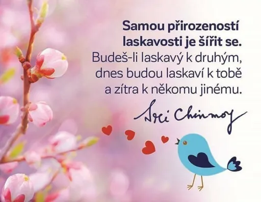 Magnet na lednici - Samou přirozeností laskavosti je šířit se. - Sri Chinmoy