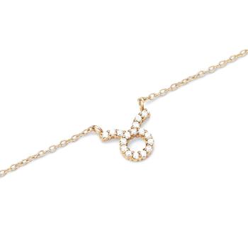 Daniel Wellington Něžný pozlacený náhrdelník znamení Býk Crystal Zodiac DW00400920
