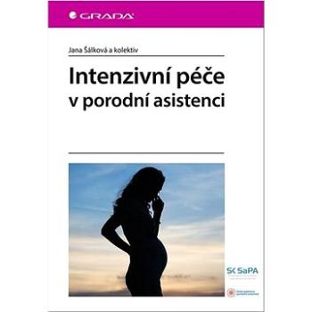 Intenzivní péče v porodní asistenci  (978-80-271-0844-2)