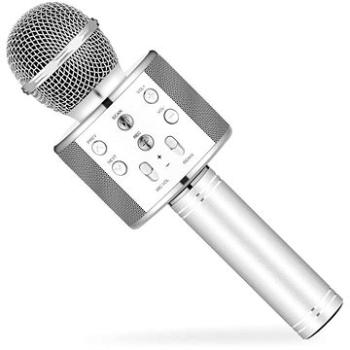 Karaoke mikrofon Eljet Globe Silver (8594176636672)