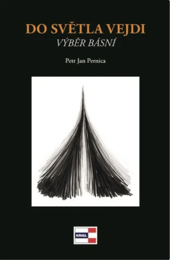 Do světla vejdi - Petr Jan Pernica
