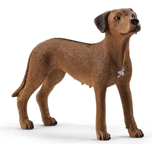 Schleich 13895 Zvířátko pes ridgback rhodéský